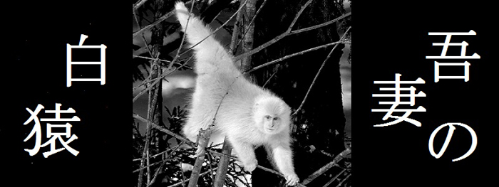 Heian Period Japan: saru monkey legends